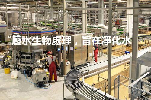 “廢水生物處理，旨在凈化水源，守護(hù)碧水藍(lán)天”